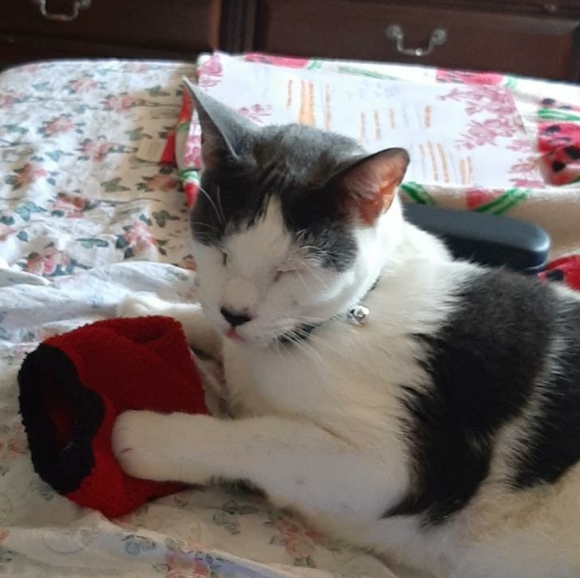 Meet your Seller Sandy 🐈⬛ - Picture 12 of 16